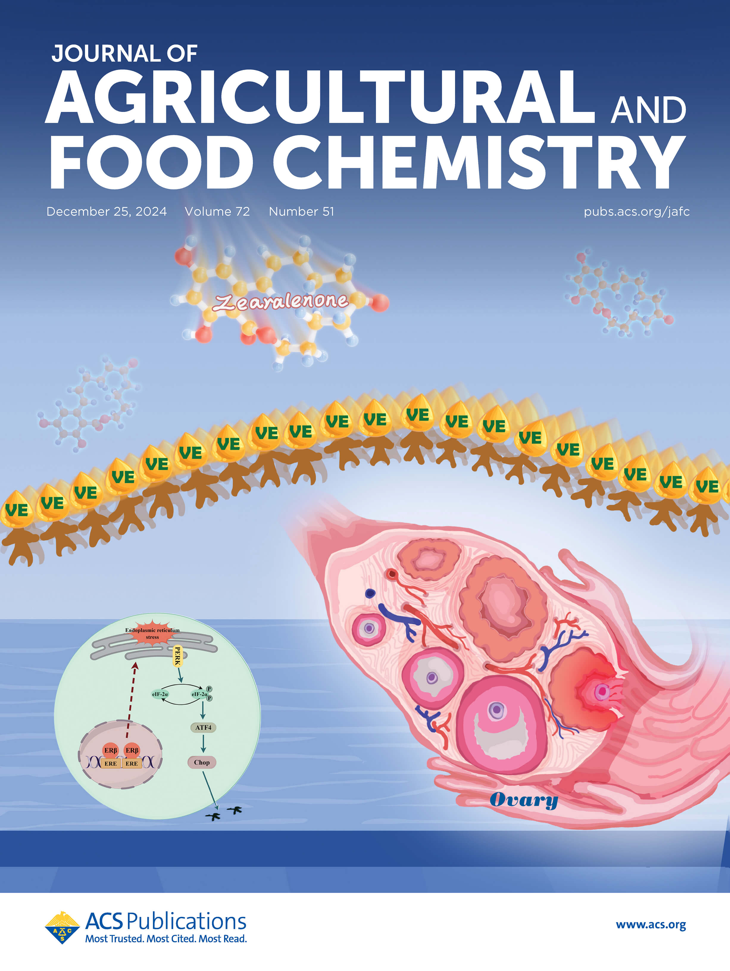 LetPub Journal Cover Art Design - Journal of Agricultural and Food Chemistry; Vitamin E Mitigates Apoptosis in Ovarian Granulosa Cells by Inhibiting Zearalenone-Induced Activation of the PERK/eIF-2α/ATF4/Chop Signaling Pathway