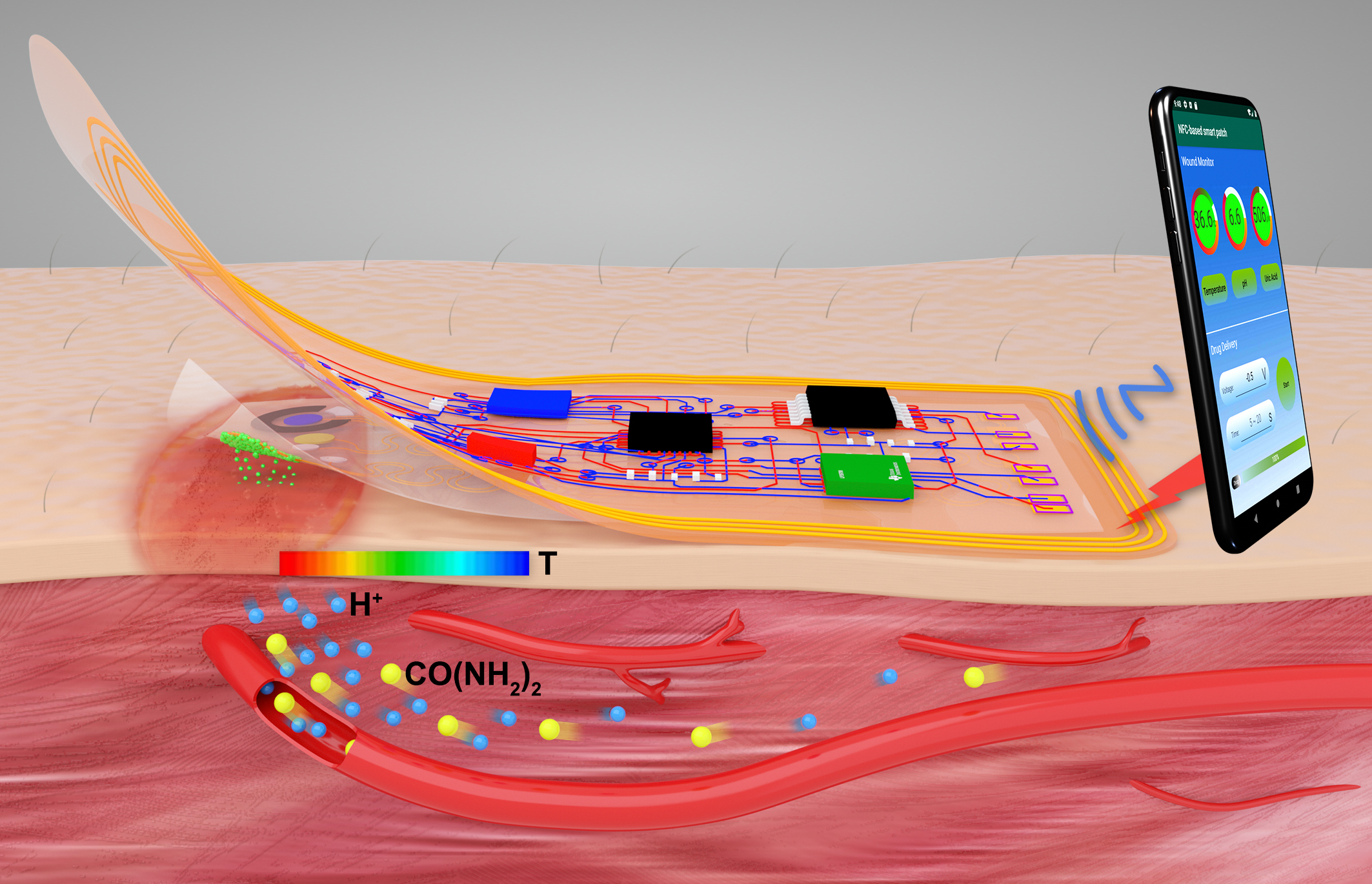 LetPub Graphical Abstract