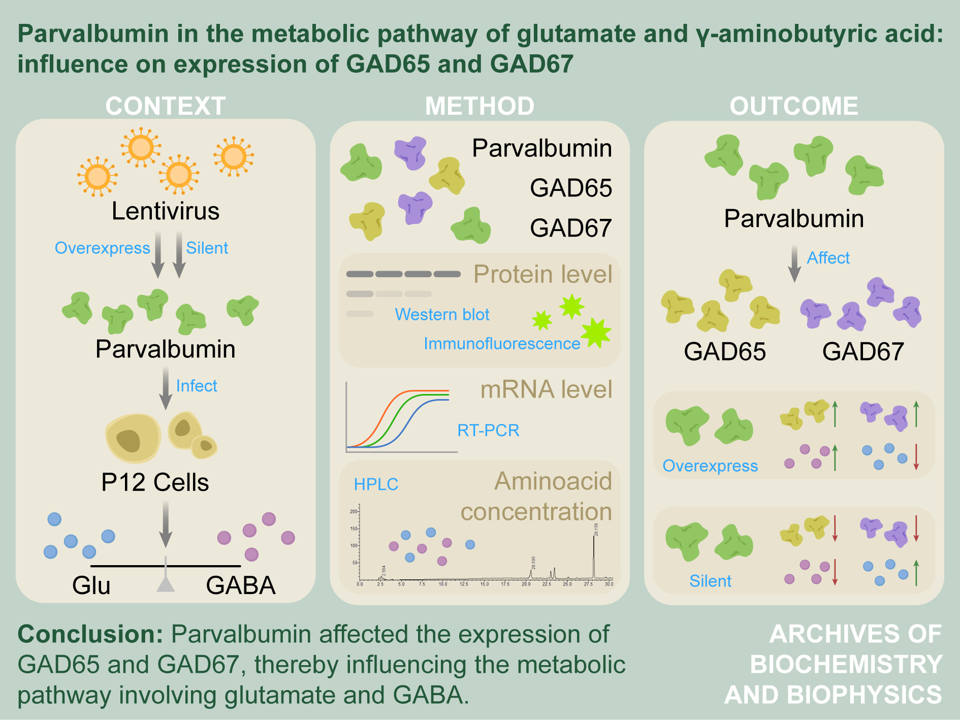 LetPub Graphical Abstract