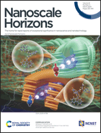 LetPub Journal Cover Design Service Art Sample, Nanoscale Horizons