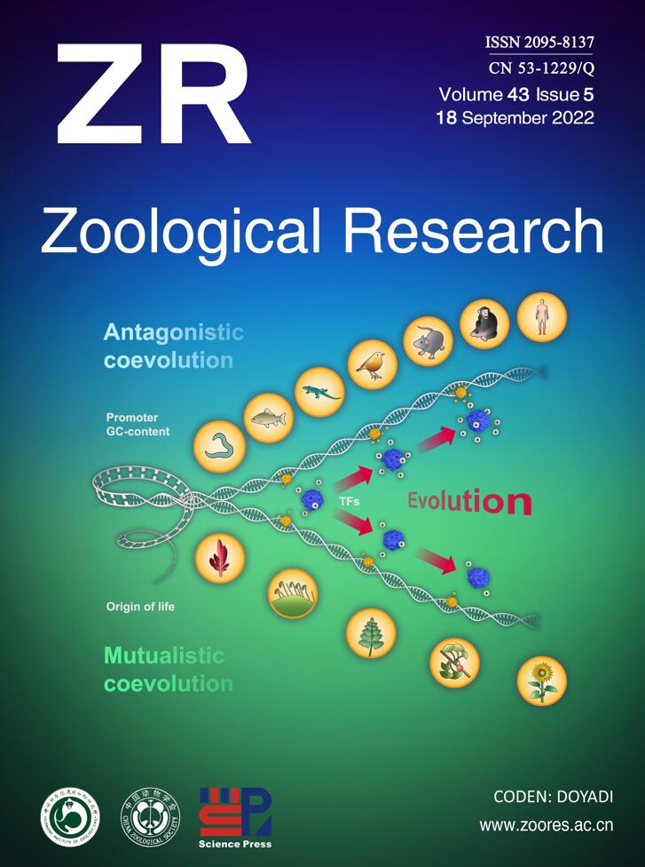 LetPub Journal Cover Design Service Art Sample, ZOOLOGICAL RESEARCH